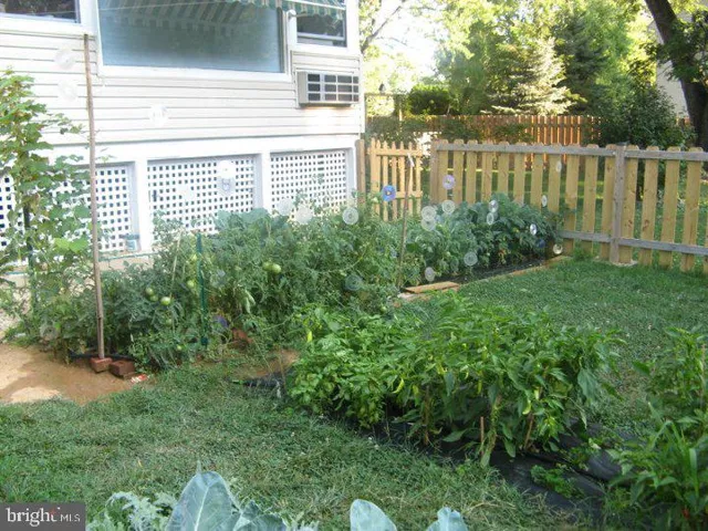4924 Grafton St, Alexandria, Virginia 22312