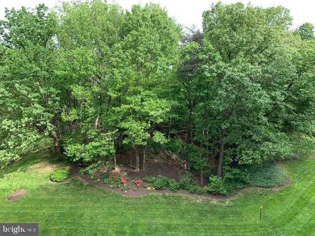 203 Yoakum Pkwy #719, Alexandria, Virginia 22304