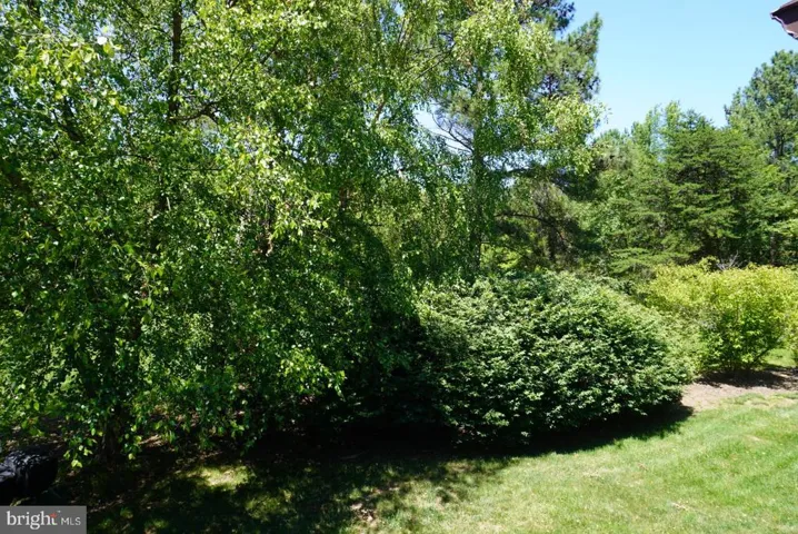 12618 Bayard Dr, Reston, Virginia 20191