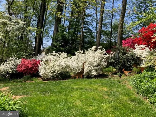 7432 Tower St, Falls Church, Virginia 22046
