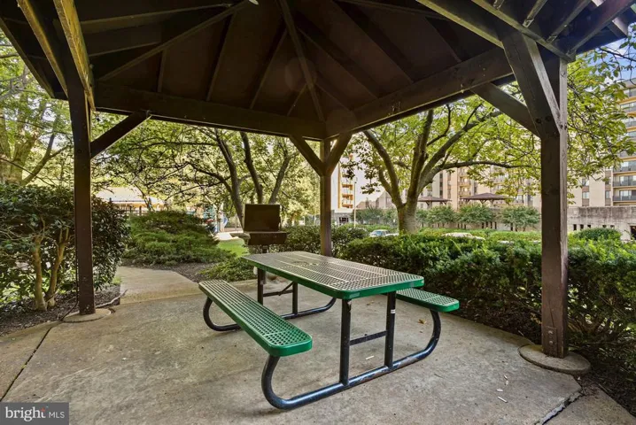 6001 Arlington Blvd #313, Falls Church, Virginia 22044