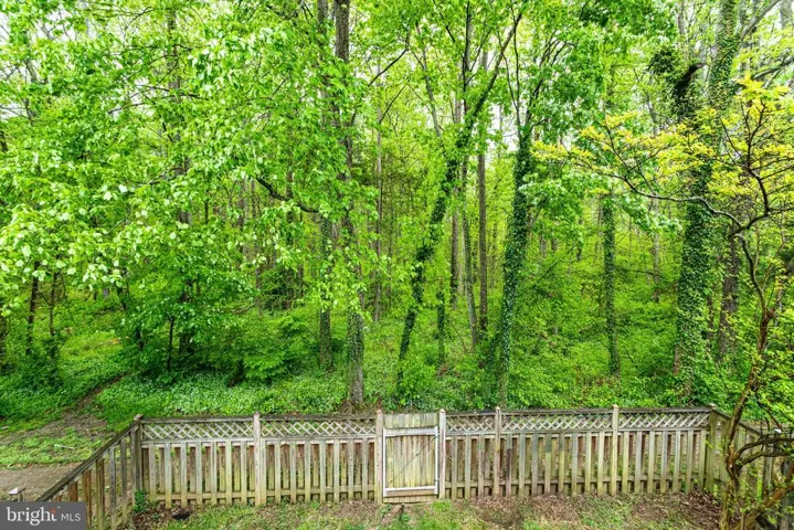 7187 Lake Cove Dr, Alexandria, Virginia 22315