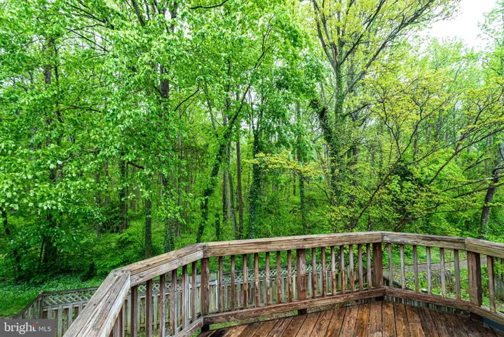 7187 Lake Cove Dr, Alexandria, Virginia 22315