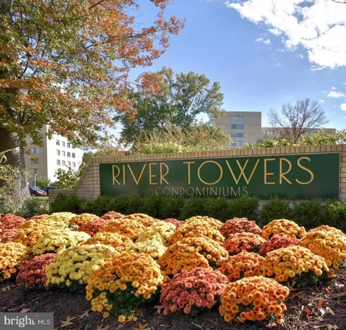 6631 Wakefield Dr #702, Alexandria, Virginia 22307