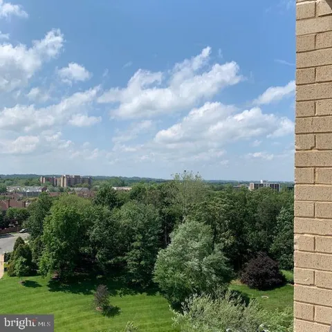 205 Yoakum Pkwy #1206, Alexandria, Virginia 22304