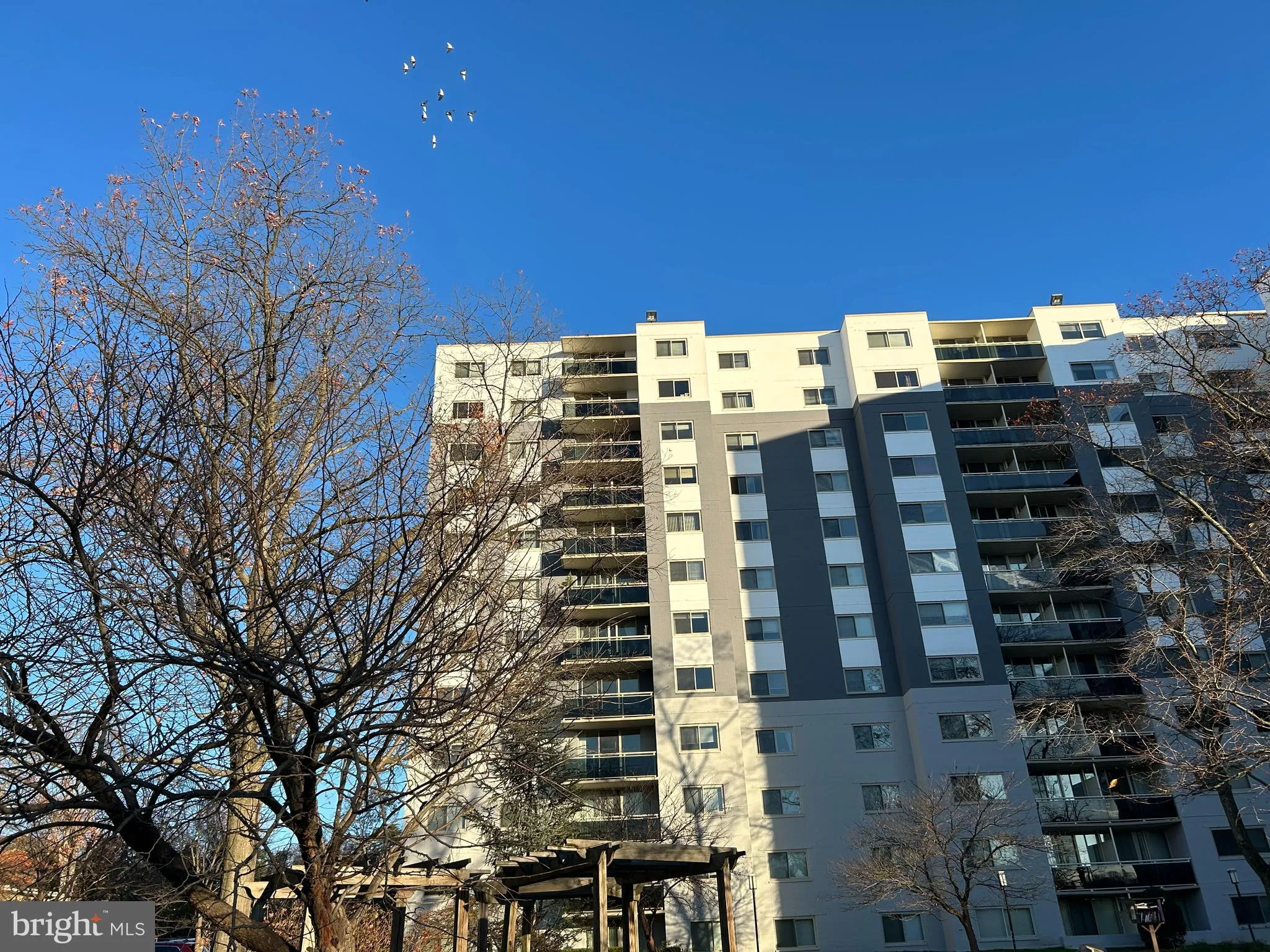 7333 NEW HAMPSHIRE AVENUE, Takoma Park, MD 20912