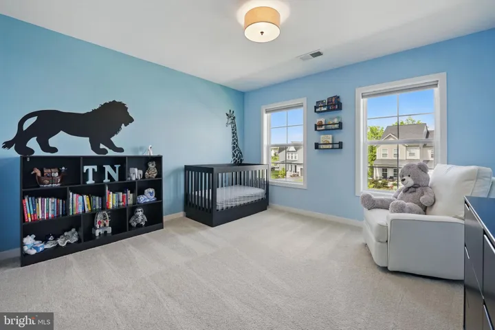 41459 Tarragon Leaf Dr, aldie, va, 20105, loudoun