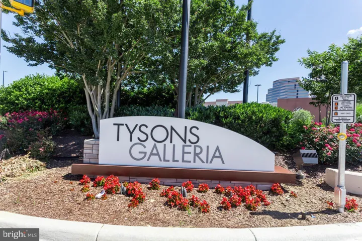7330 Lewinsville Park Ct, Mclean, Virginia 22101