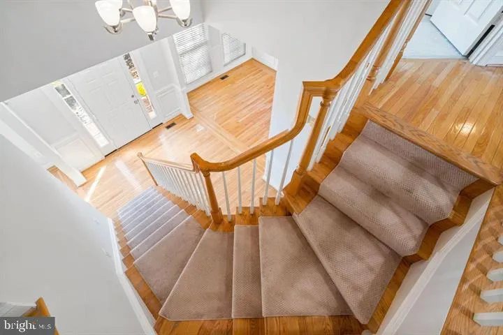 2038 Madrillon Rd, Vienna, Virginia 22182