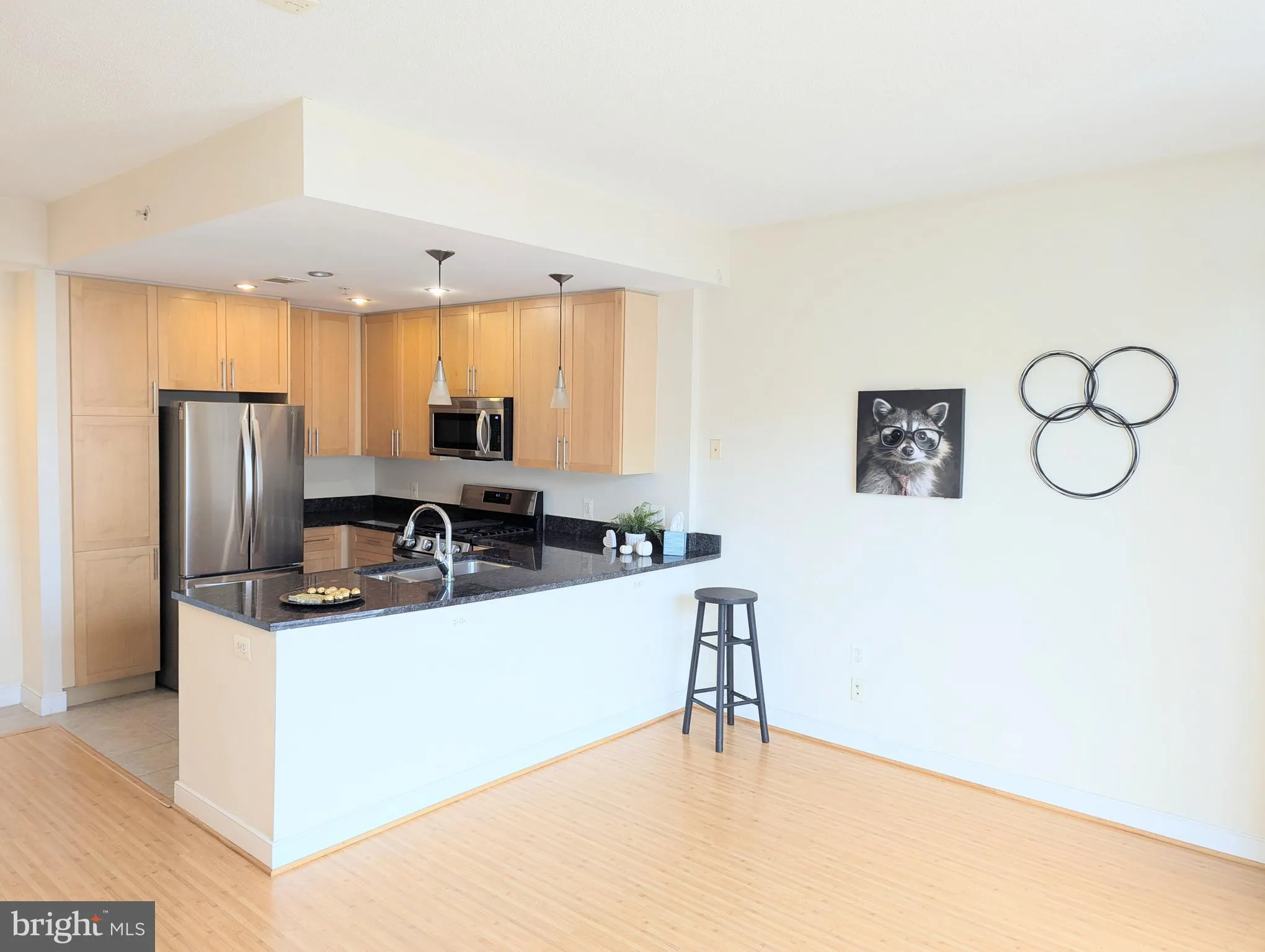 820 POLLARD STREET, Arlington, VA 22203