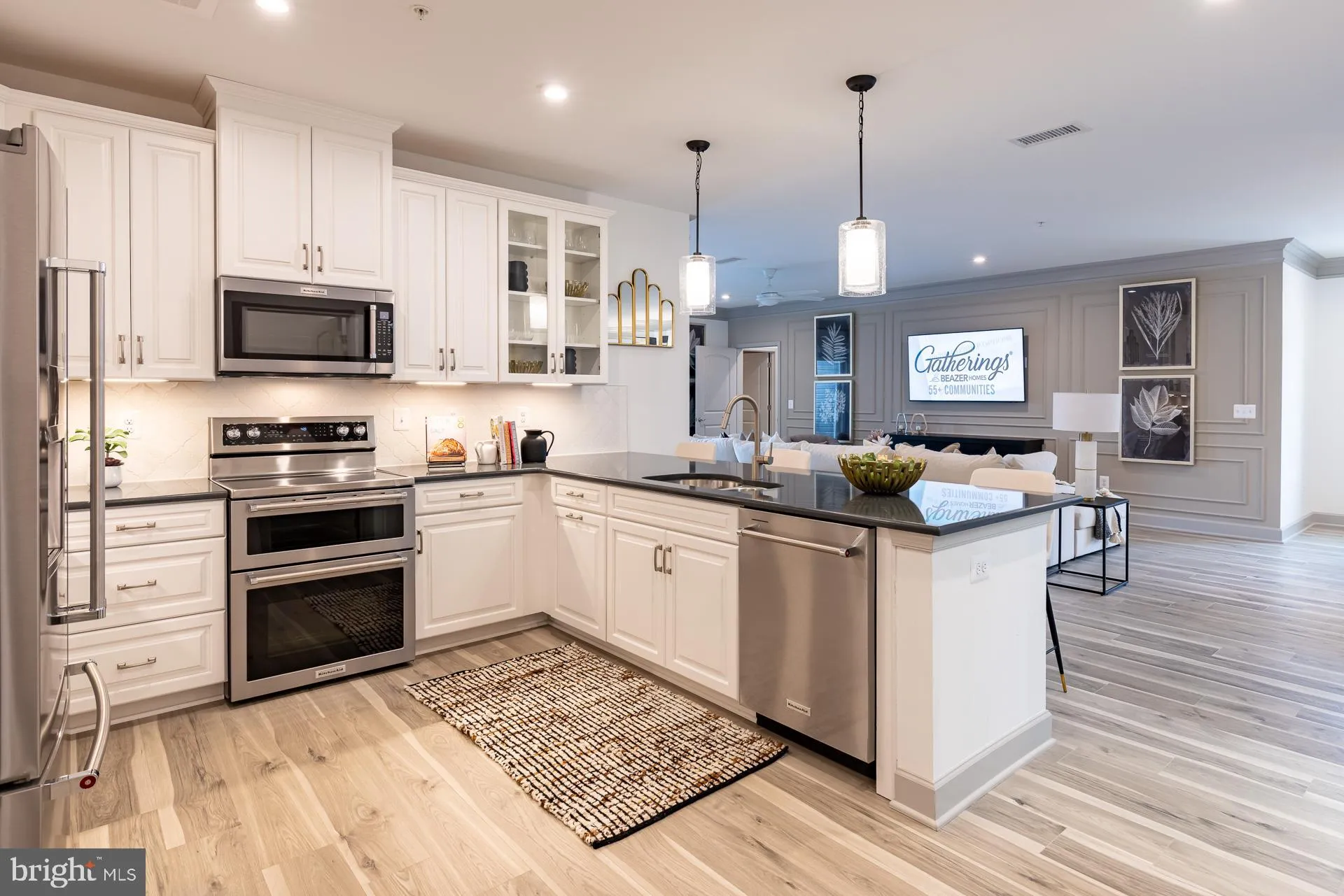 13240 PETREL STREET, Clarksburg, MD 20871