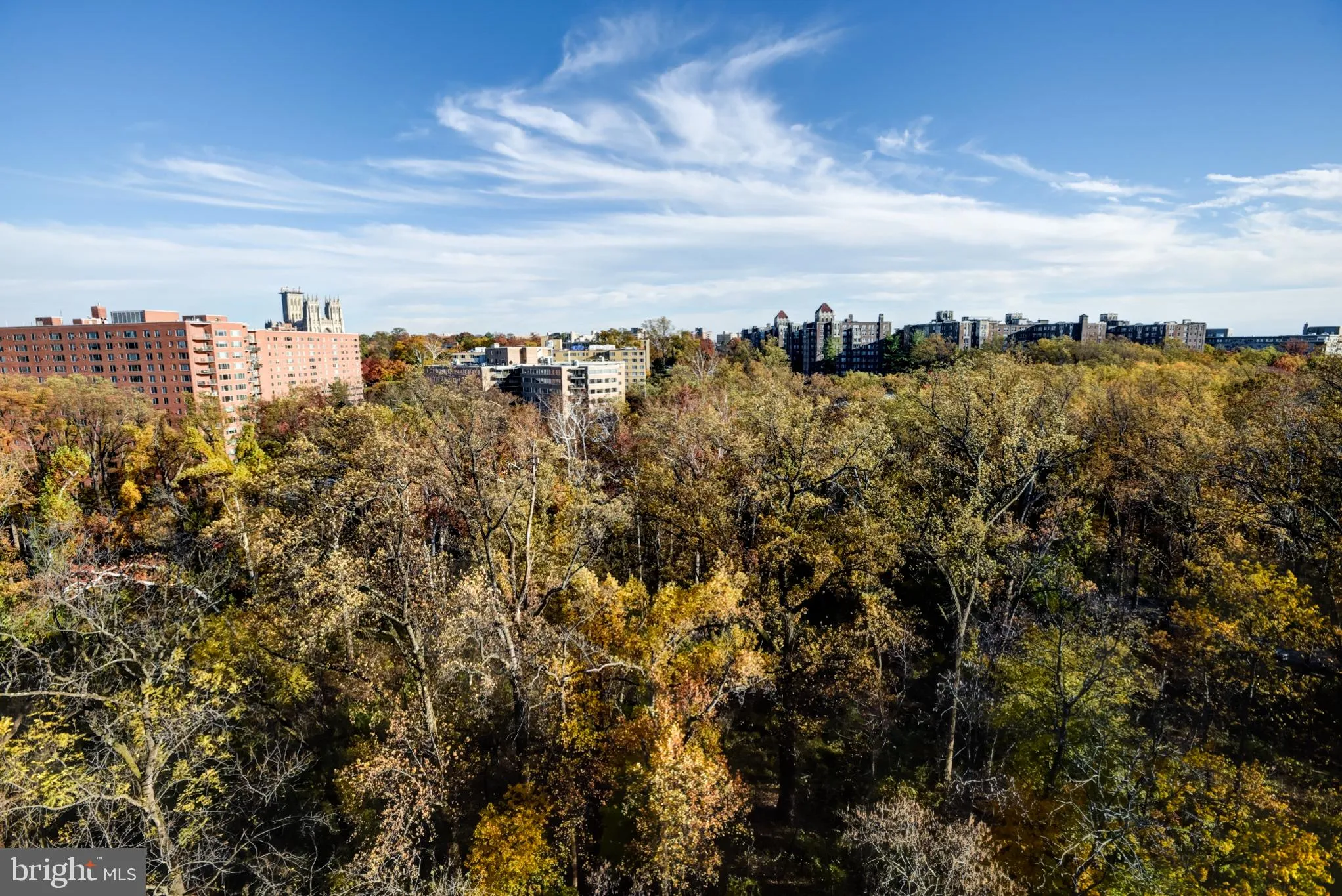 4201 CATHEDRAL AVENUE, Washington, DC 20016