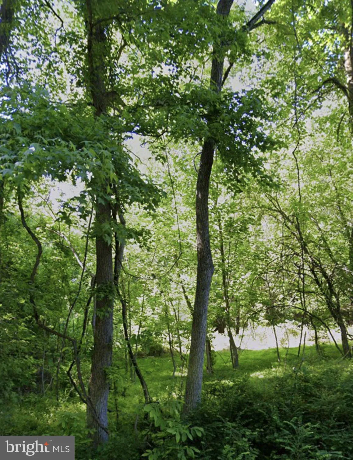 16301 SAINT THOMAS CHURCH ROAD, Upper Marlboro, MD 20772