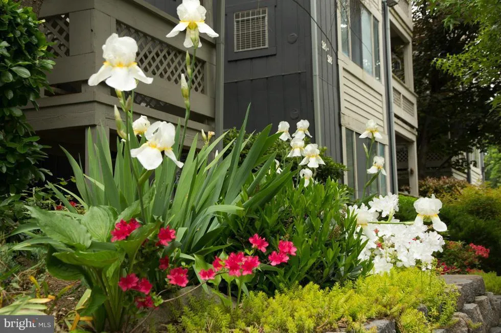 916 WINDBROOKE DRIVE, Gaithersburg, MD 20879