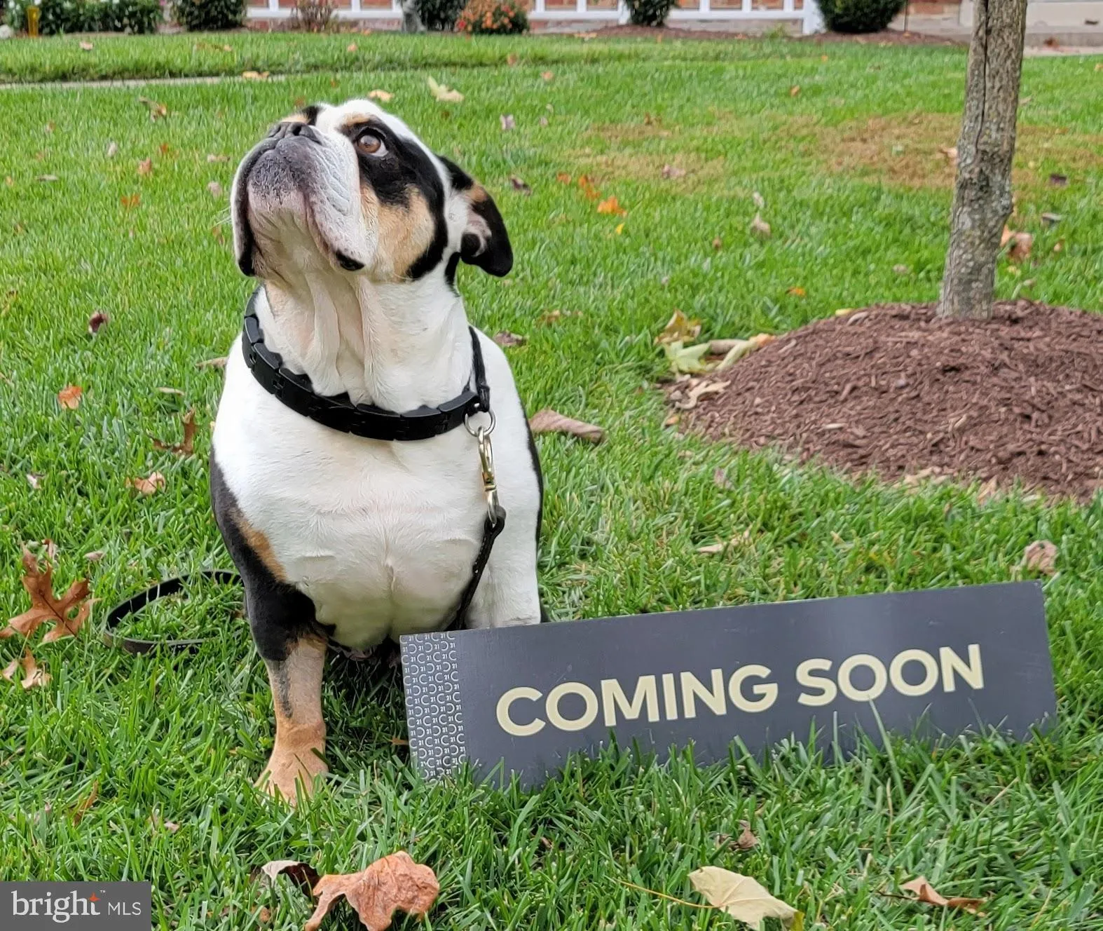 206 WATER FOUNTAIN COURT, Glen Burnie, MD 21060