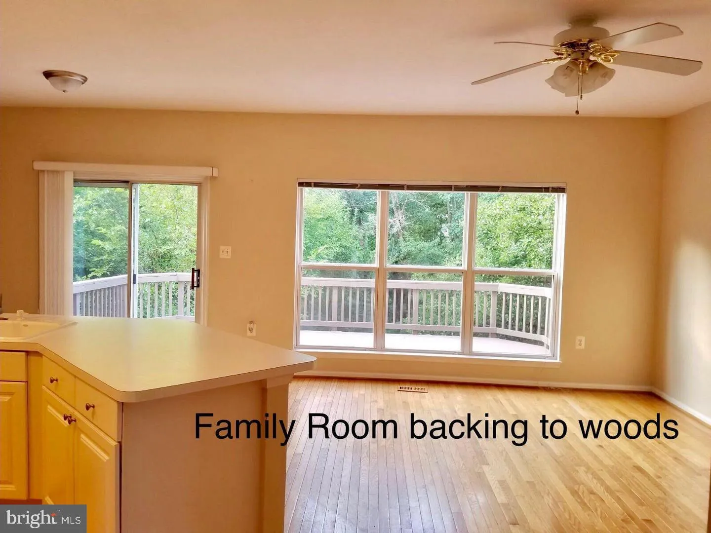 13118 FOREST MIST LANE, Fairfax, VA 22033