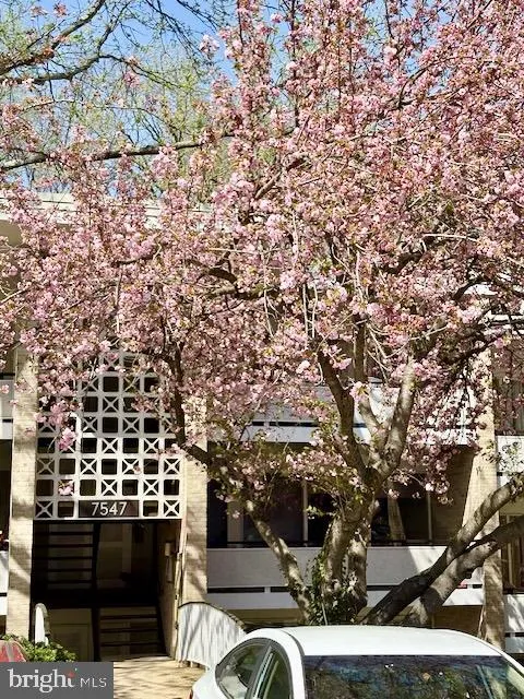 7547 SPRING LAKE DRIVE, Bethesda, MD 20817