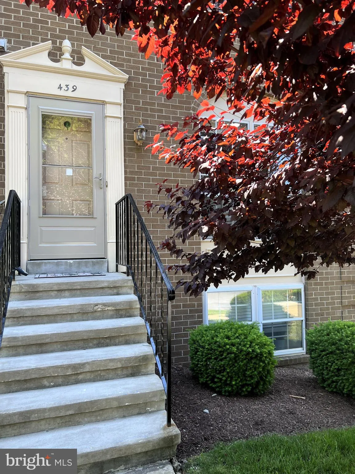 439 TERRY COURT, Frederick, MD 21701