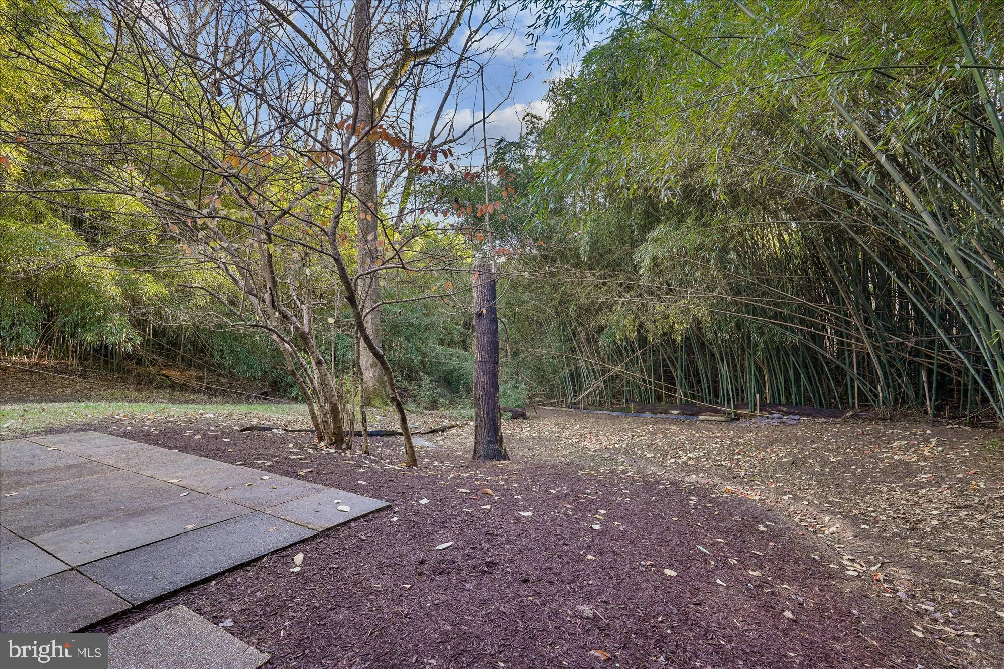 10701 SHELLEY COURT, Garrett Park, MD 20896