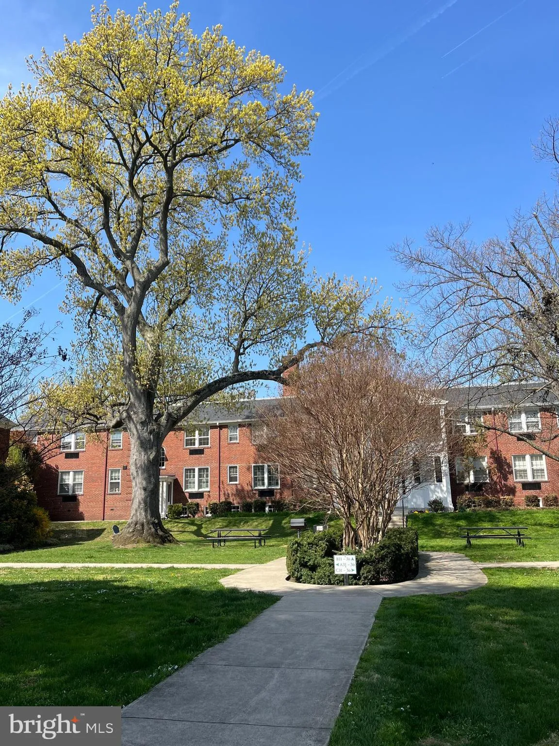 715 WASHINGTON STREET, Alexandria, VA 22314