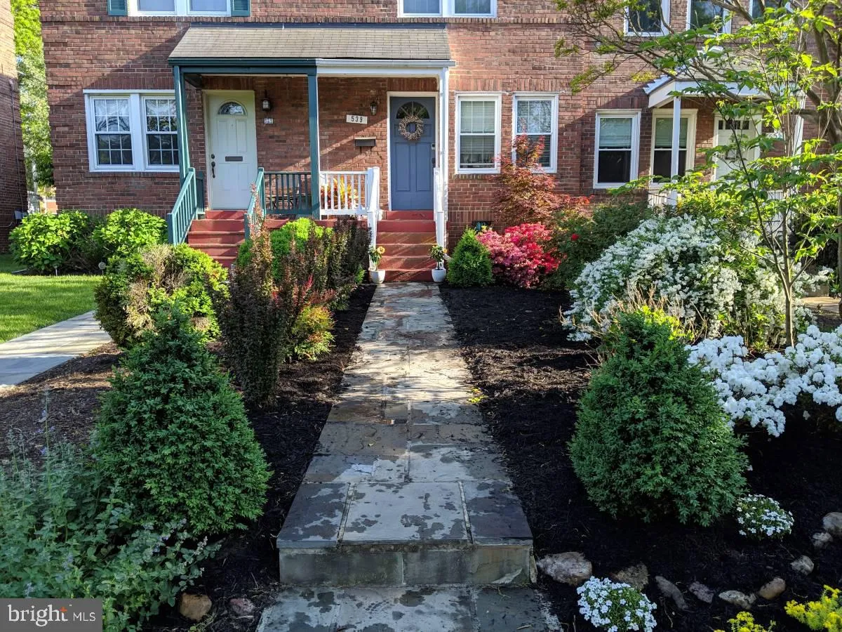 539 NELSON AVENUE, Alexandria, VA 22301