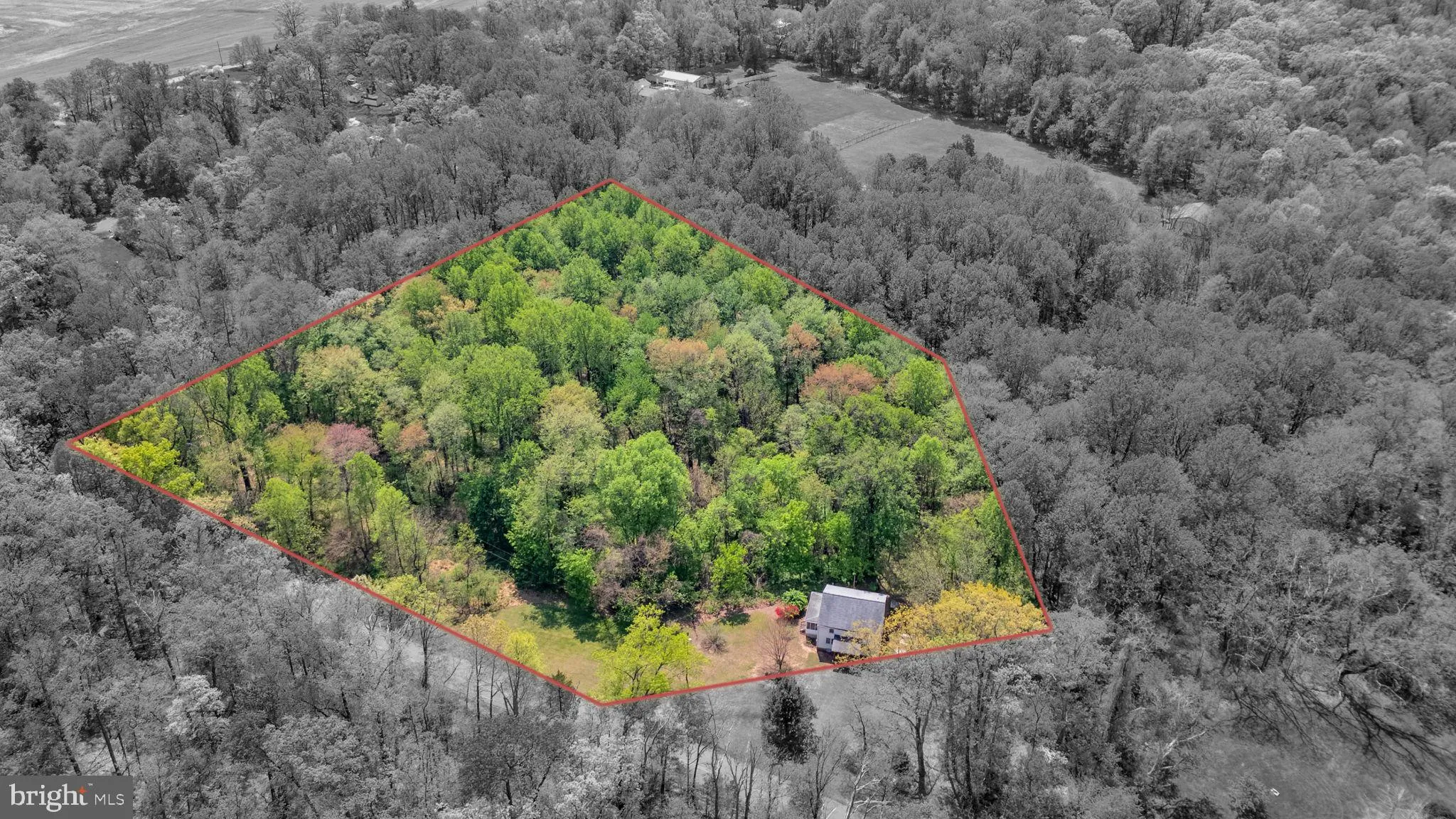 20730 BIG WOODS ROAD, Dickerson, MD 20842