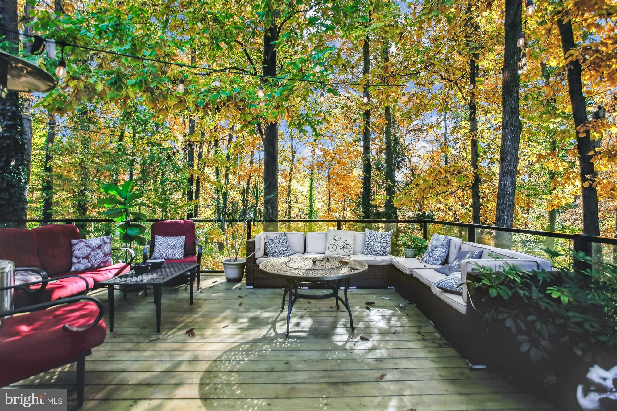 4207 ADRIENNE DRIVE, Alexandria, VA 22309