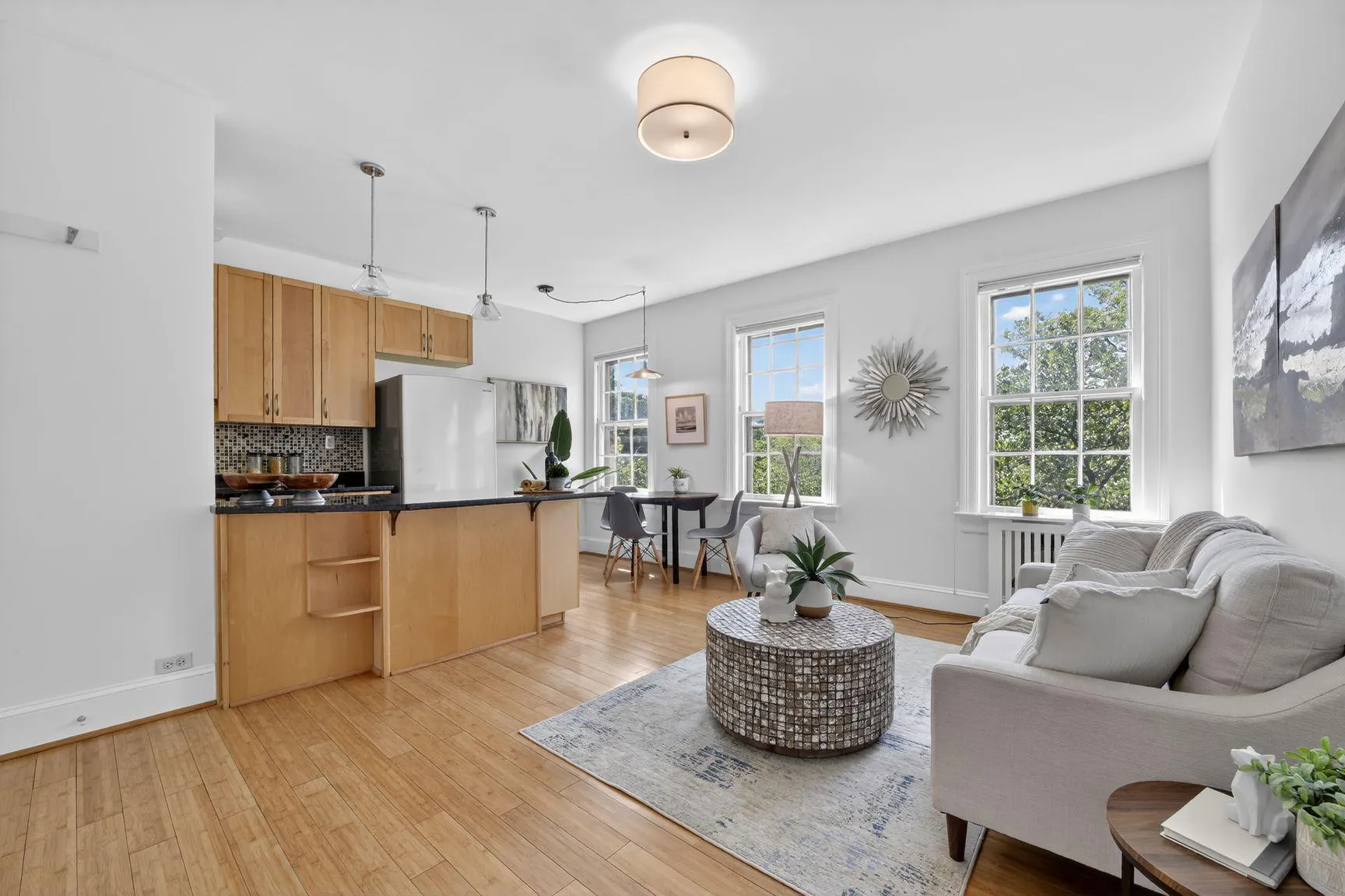 2707 ADAMS MILL ROAD, Washington, DC 20009
