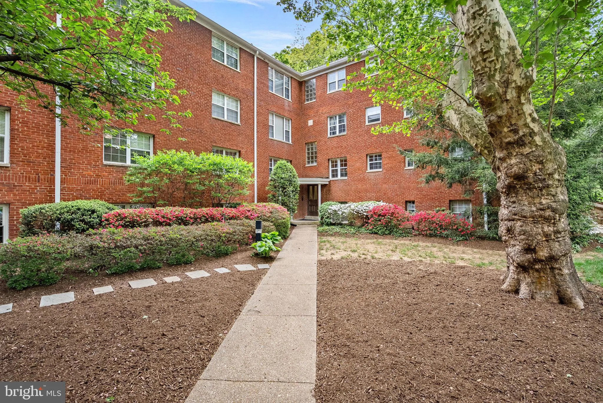 1423 NASH STREET, Arlington, VA 22209
