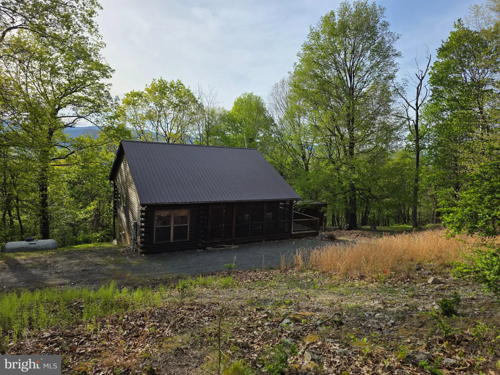 384 SCARLET TANAGER TRAIL, Franklin, WV 26807