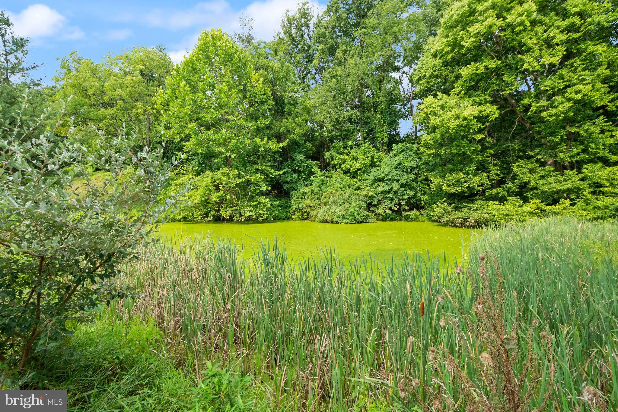 42277 CHESTNUT HILL LANE, Leesburg, VA 20176