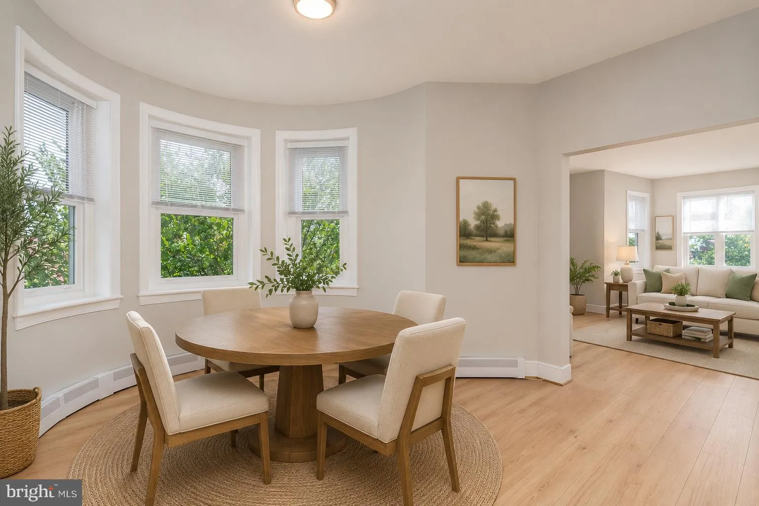 523 CONSTITUTION AVENUE, Washington, DC 20002