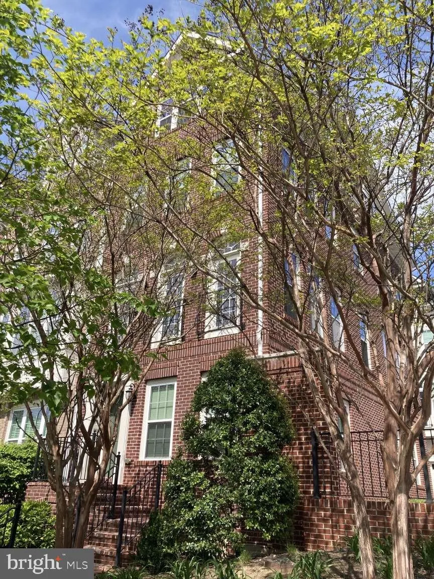 805 WOODROW STREET, Arlington, VA 22203