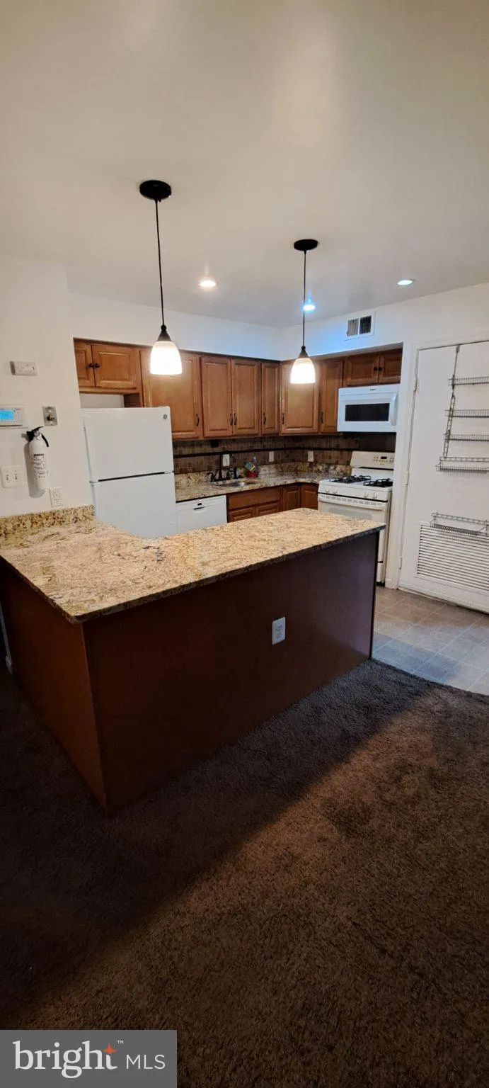 3028 PINEVIEW COURT, Washington, DC 20018