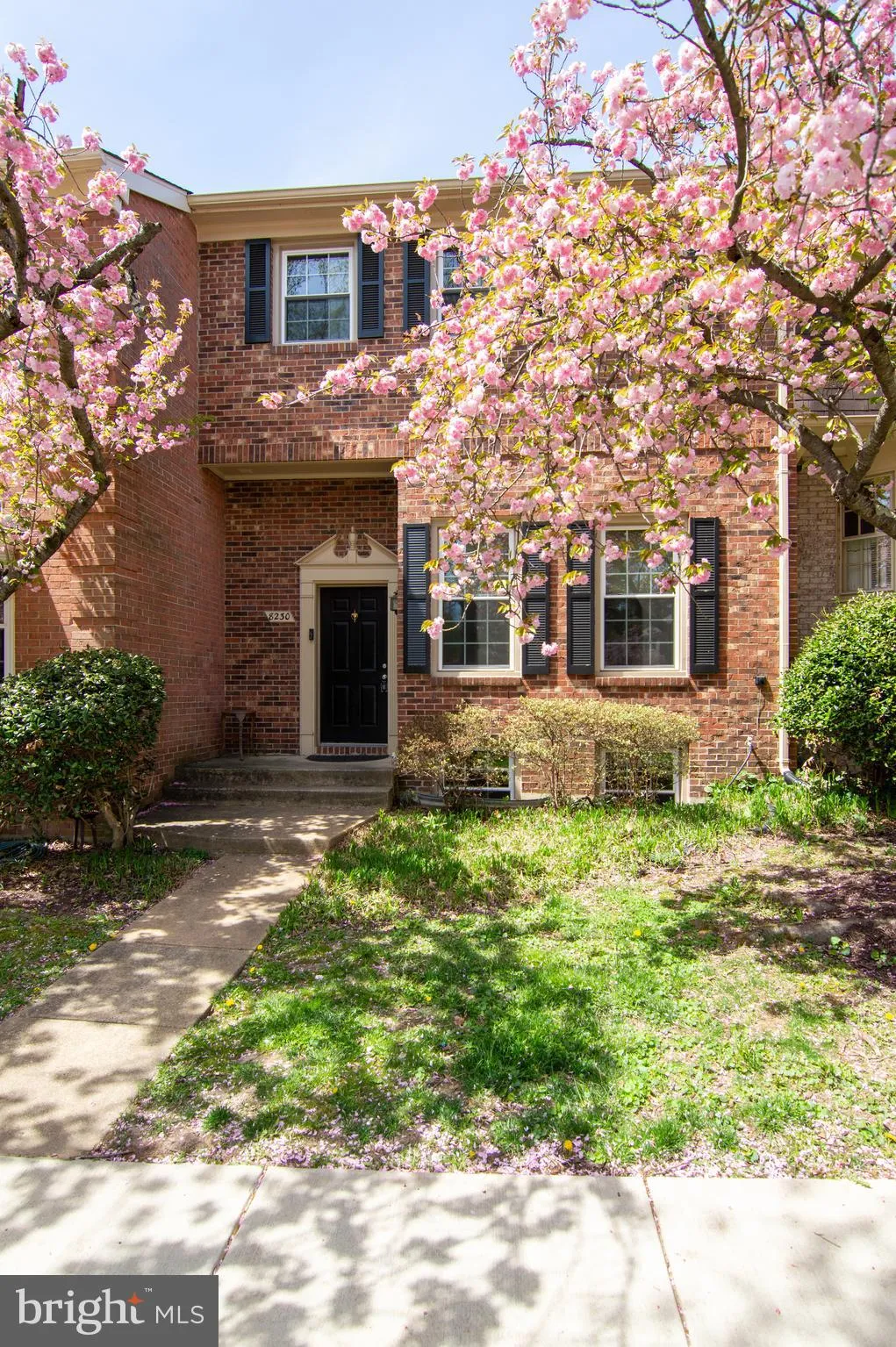 8230 LA FAYE COURT, Alexandria, VA 22306