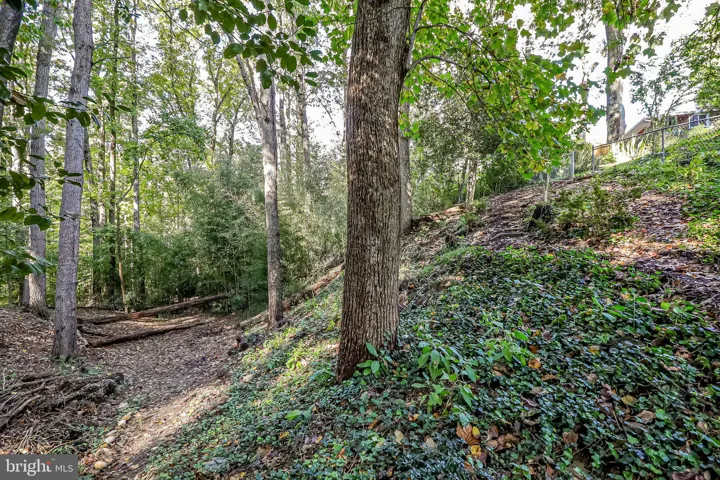 1108 Archer Court, Alexandria, VA 22312