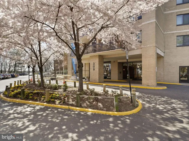 309 Yoakum Pkwy, Alexandria, Virginia 22304