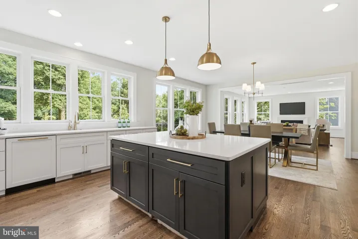 508 Meridian Street, Falls Church, VA 22046