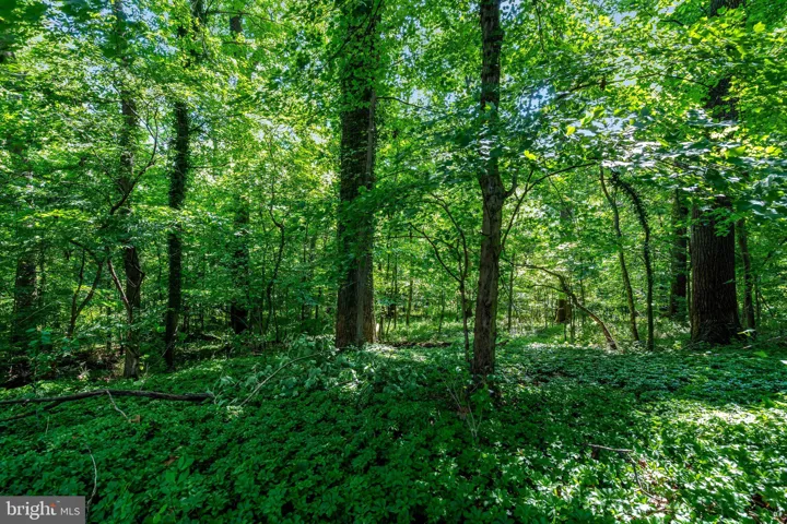 4509 Twinbrook Road, Fairfax, VA 22032