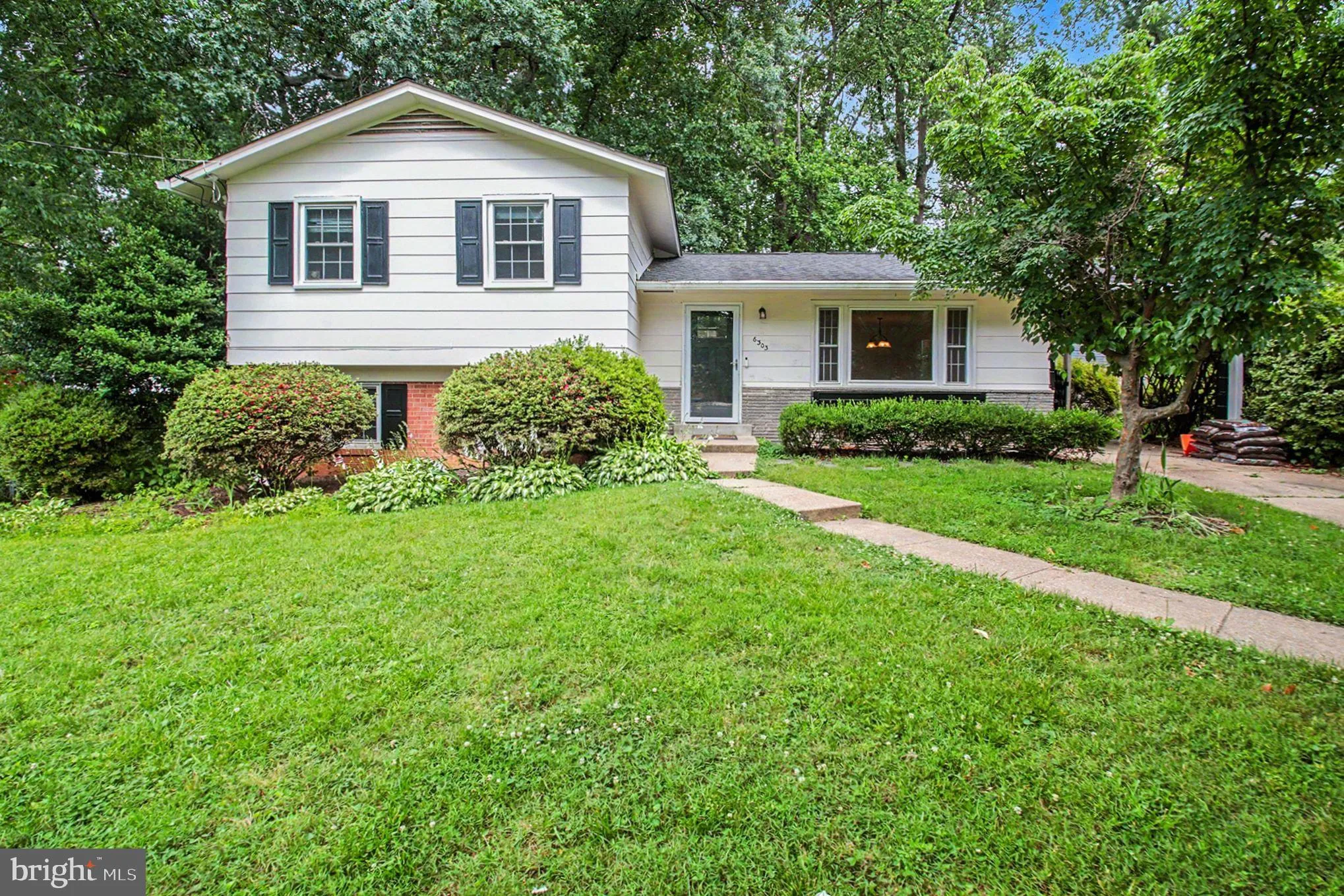 6303 BARDU AVENUE, Springfield, VA 22152