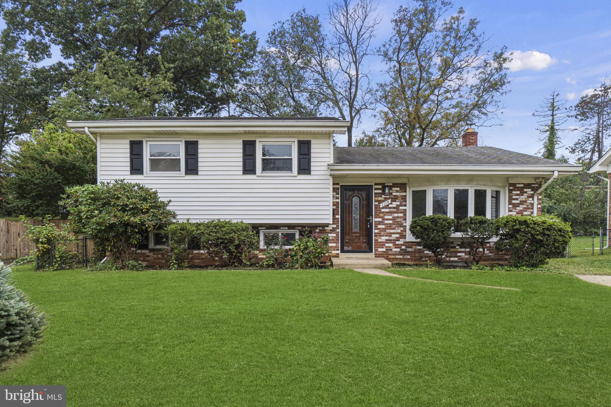 1110 CHISWELL LANE, Silver Spring, MD 20901