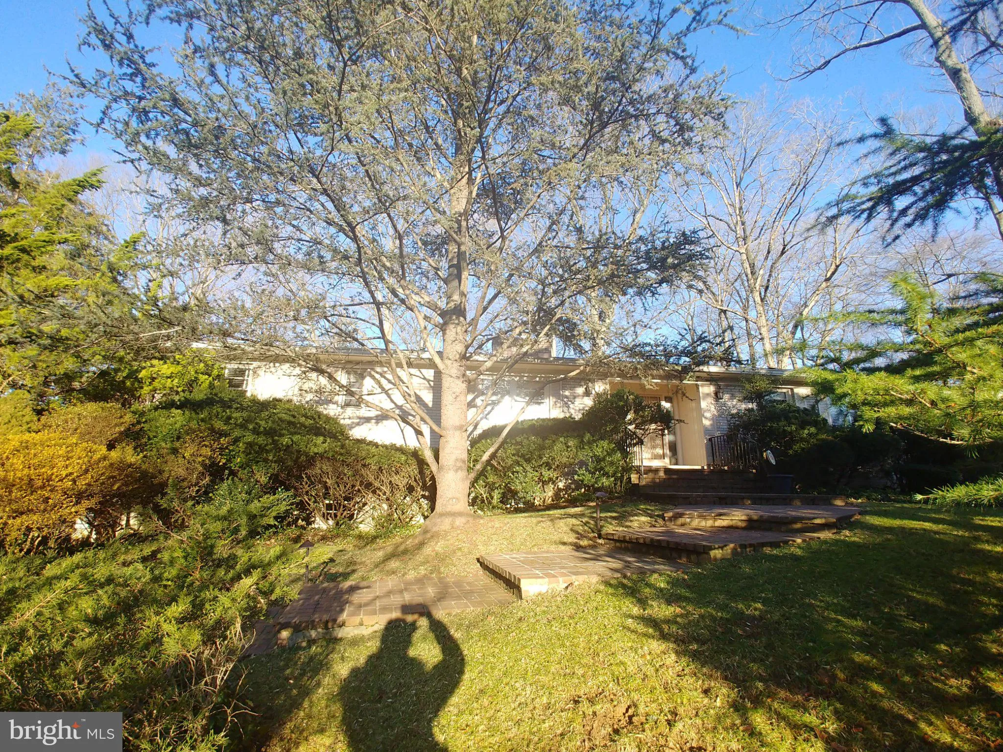 1429 LABURNUM STREET, Mclean, VA 22101