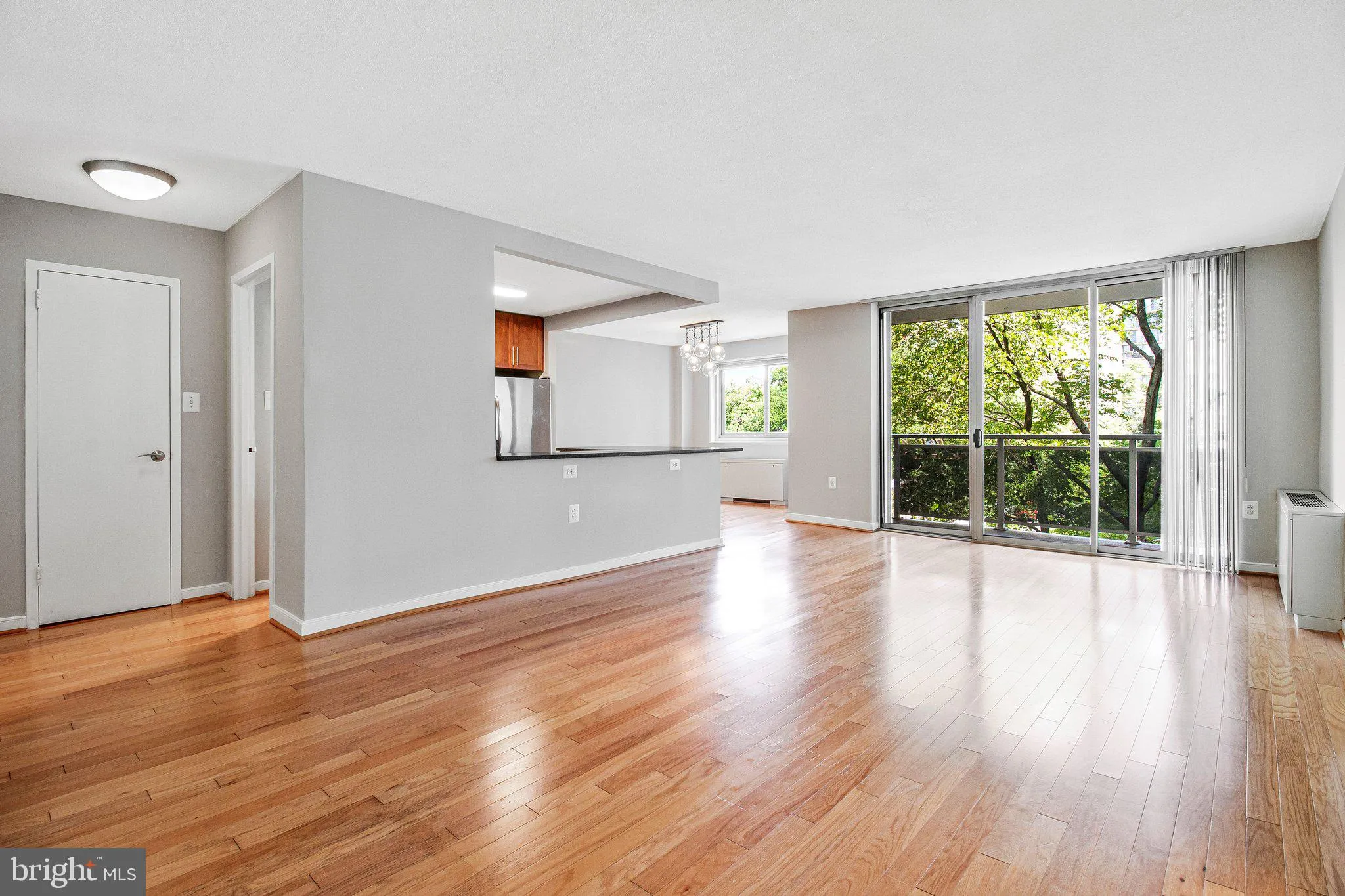 7333 NEW HAMPSHIRE AVENUE, Takoma Park, MD 20912