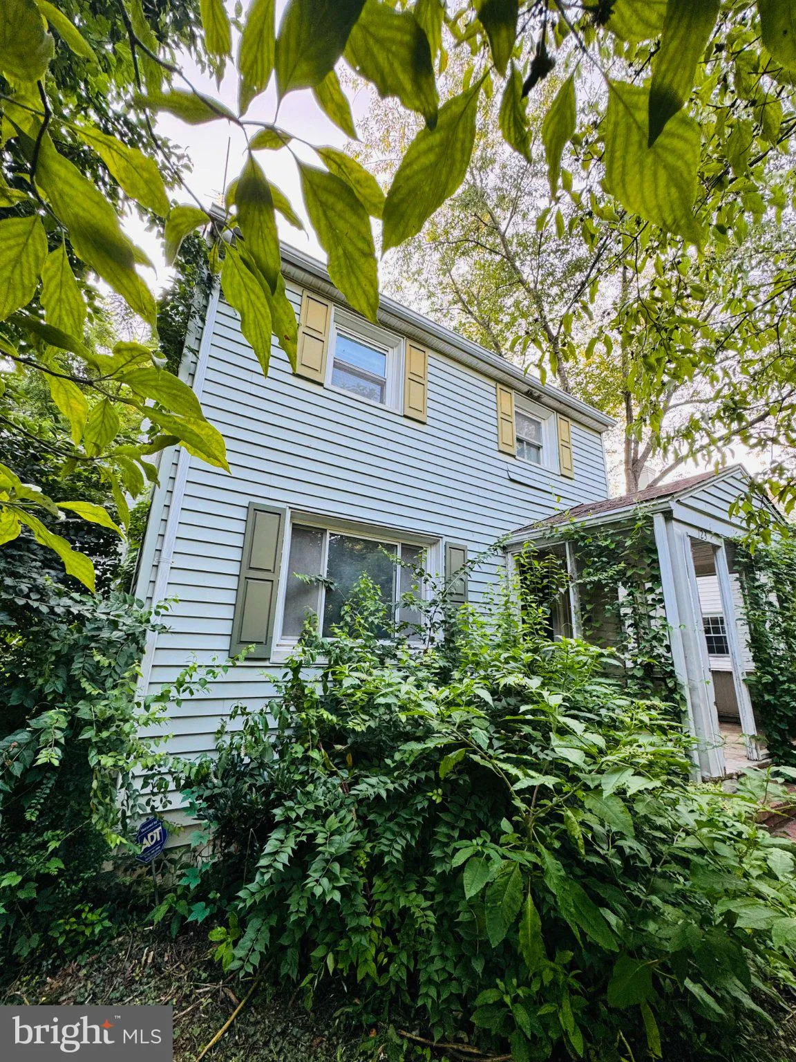 123 WESTMORELAND ROAD, Falls Church, VA 22046
