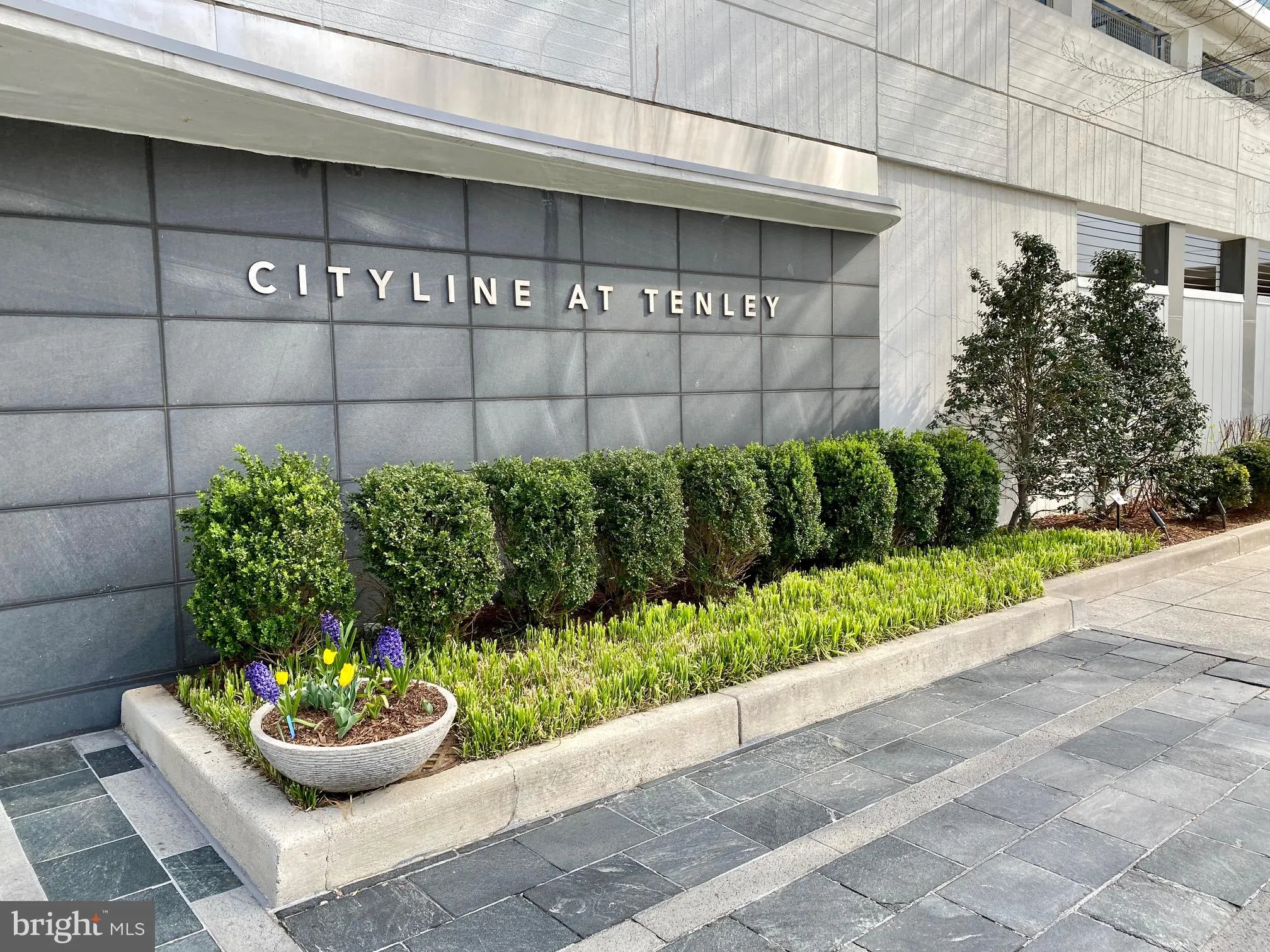 4101 ALBEMARLE STREET, Washington, DC 20016