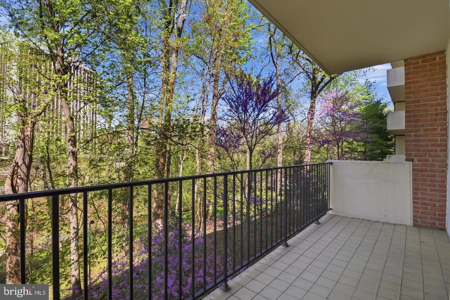 8101 CONNECTICUT AVENUE, Chevy Chase, MD 20815