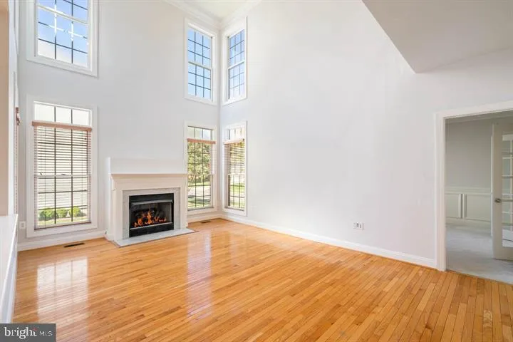 2038 Madrillon Rd, Vienna, Virginia 22182