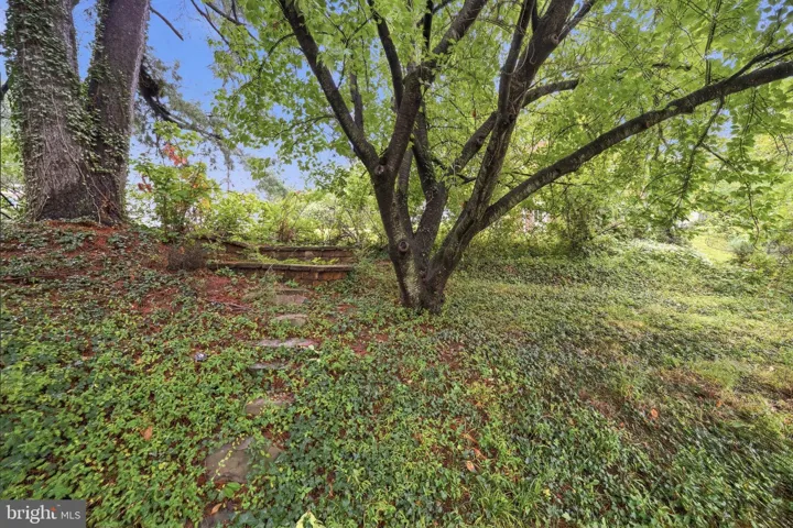 899 N Nottingham St, Arlington, Virginia 22205