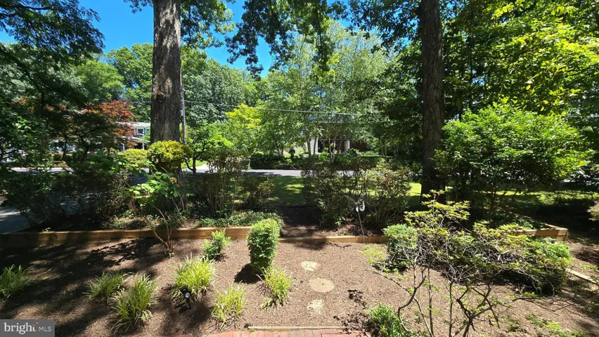 3420 Greentree Dr, Falls Church, Virginia 22041