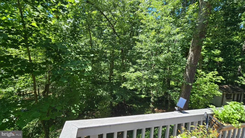 3420 Greentree Dr, Falls Church, Virginia 22041